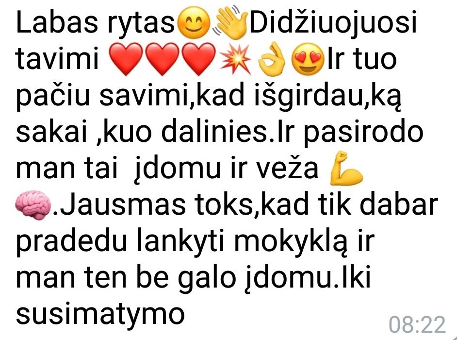 Atsiliepimas apie individualią mentorystę su Erika Karta